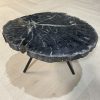 Couchtisch aus versteinertem Holz