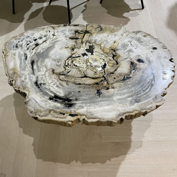 Versteend hout salontafel