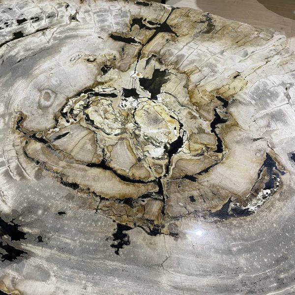 Tafel versteend hout