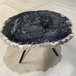 Versteend hout salontafel