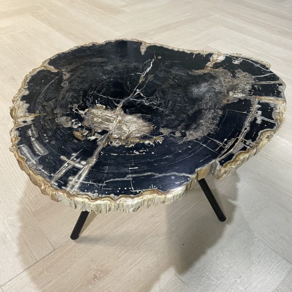 Tisch aus versteinertem Holz