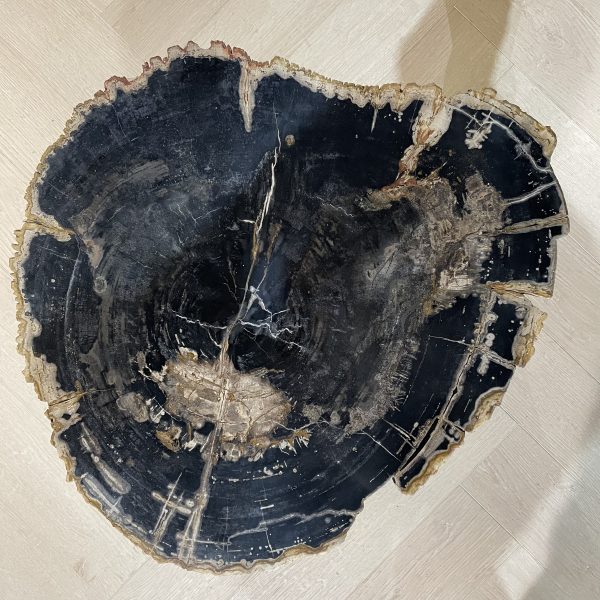 Couchtisch aus versteinertem Holz
