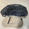 Versteend hout salontafel