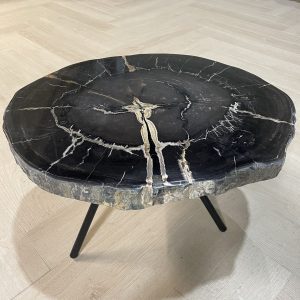 Versteend hout salontafel