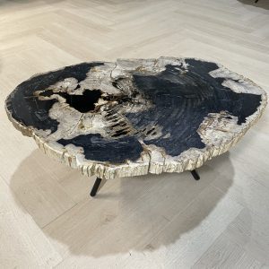 Versteend hout salontafel