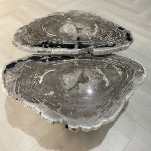 Couchtisch aus versteinertem Holz