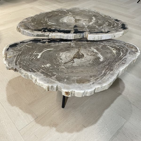 Couchtisch aus versteinertem Holz