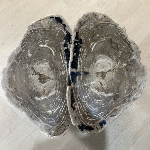 Couchtisch aus versteinertem Holz