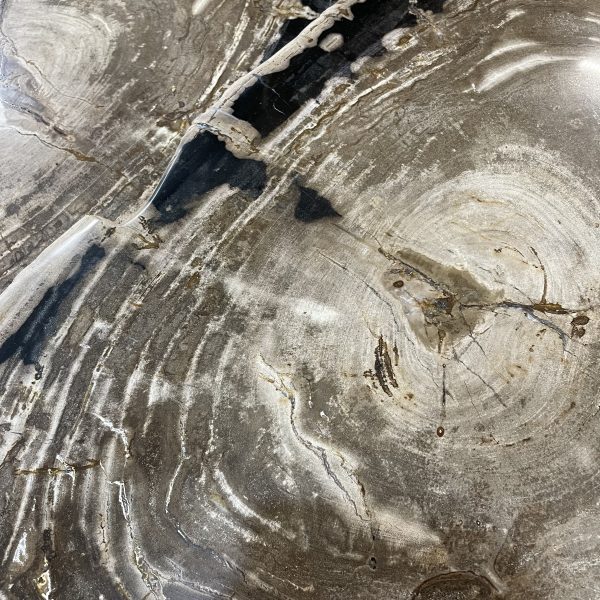 Couchtisch aus versteinertem Holz