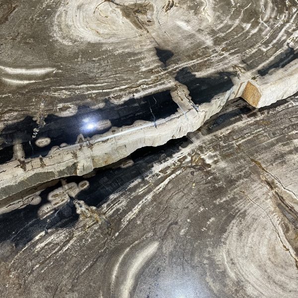 Tisch versteinertes Holz