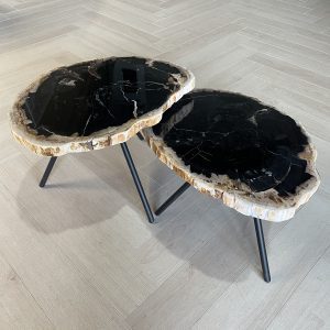 Couchtisch aus versteinertem Holz