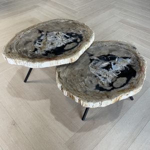 Couchtisch aus versteinertem Holz