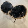 Couchtisch aus versteinertem Holz