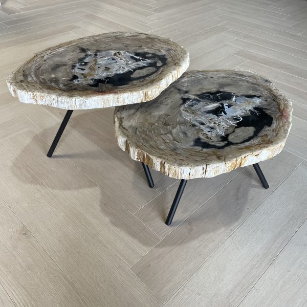 Couchtisch aus versteinertem Holz