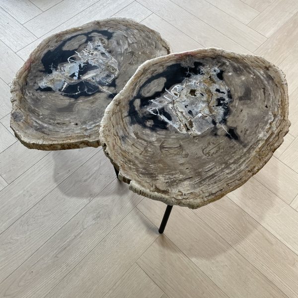 Couchtisch aus versteinertem Holz