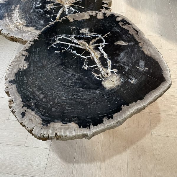 Couchtisch aus versteinertem Holz