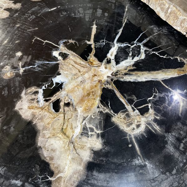 Couchtisch aus versteinertem Holz