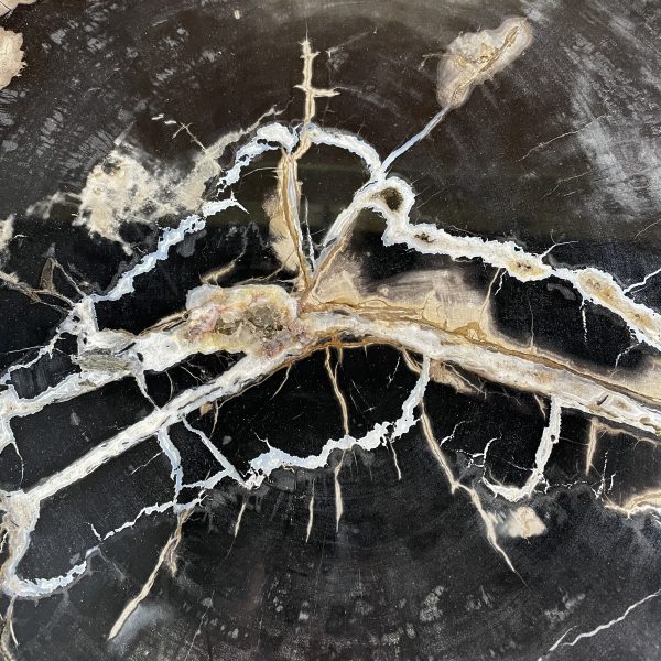 Couchtisch aus versteinertem Holz