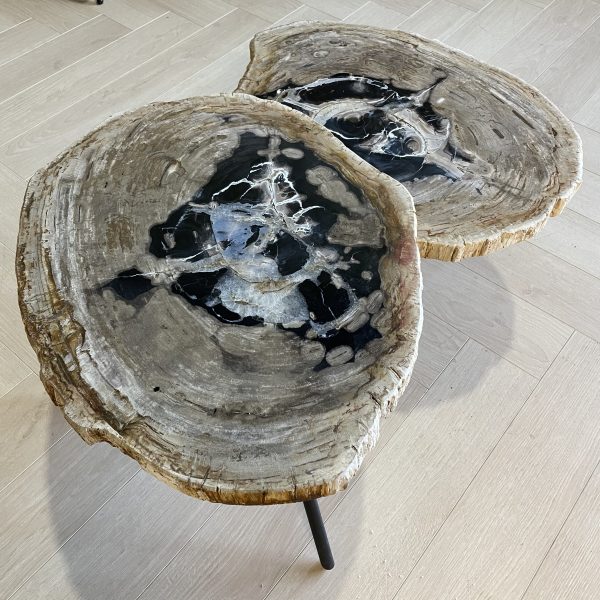 Couchtisch aus versteinertem Holz