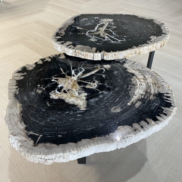 Couchtisch aus versteinertem Holz