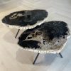 Couchtisch aus versteinertem Holz
