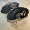 Couchtisch aus versteinertem Holz