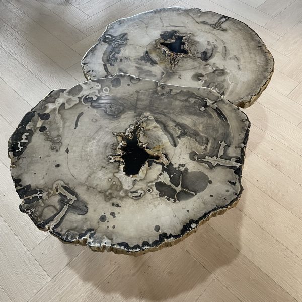 Versteend hout salontafel