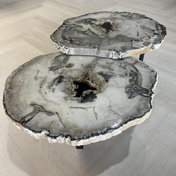 Versteend hout salontafel