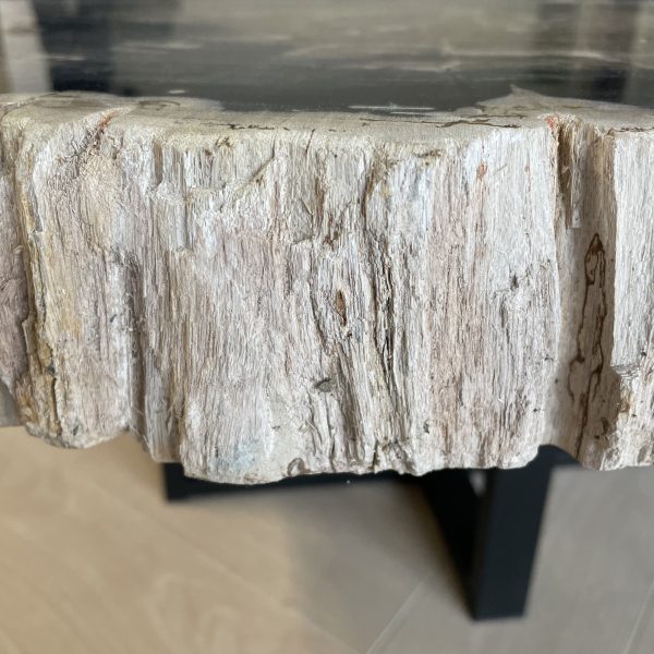 Couchtisch aus versteinertem Holz