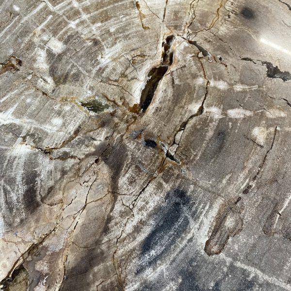 Tische aus versteinertem Holz