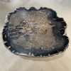 Couchtisch aus versteinertem Holz