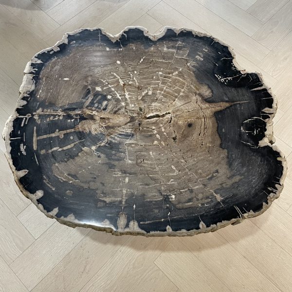Couchtisch aus versteinertem Holz