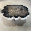 Couchtisch aus versteinertem Holz