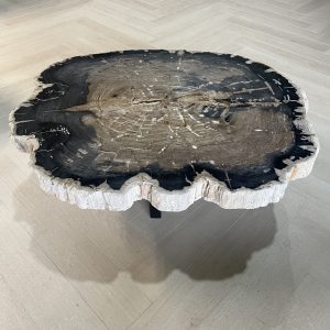 Couchtisch aus versteinertem Holz