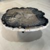 Couchtisch aus versteinertem Holz