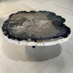 Couchtisch aus versteinertem Holz