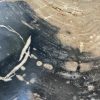 Couchtisch aus versteinertem Holz