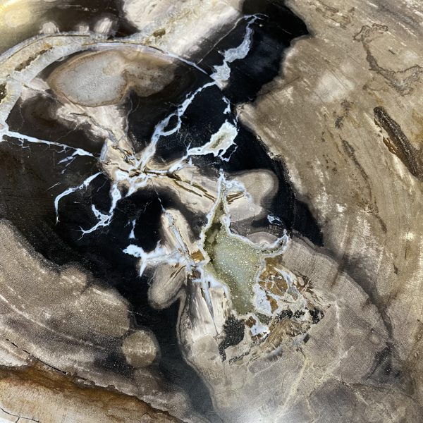 Couchtisch aus versteinertem Holz