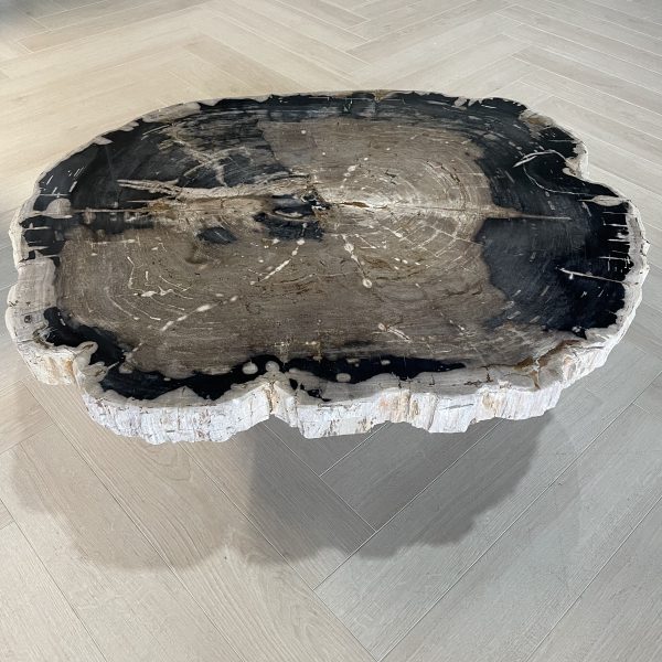 Couchtisch aus versteinertem Holz