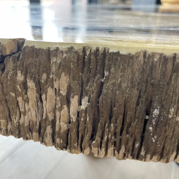 Couchtisch aus versteinertem Holz