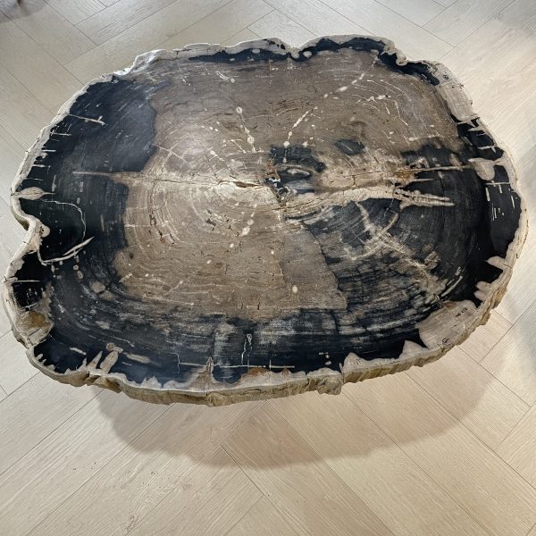 Couchtisch aus versteinertem Holz