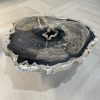 Couchtisch aus versteinertem Holz