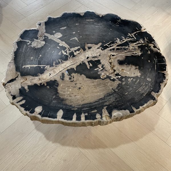 Versteend hout salontafel