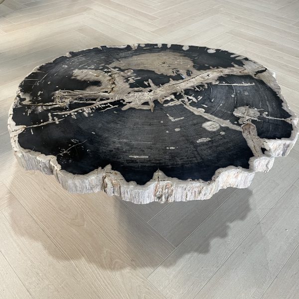Versteend hout salontafel