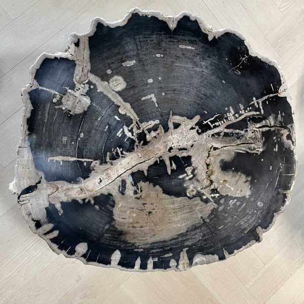 Versteend hout salontafel