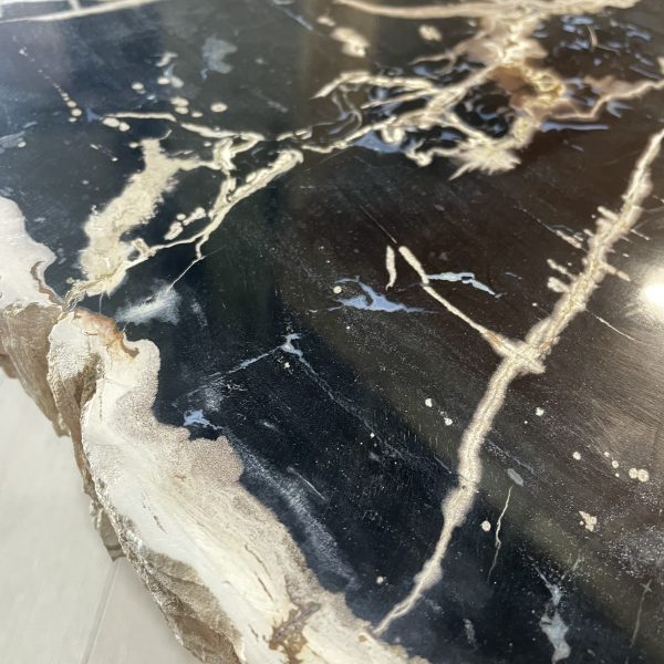 Versteend hout salontafel