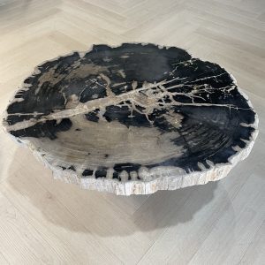 Versteend hout salontafel