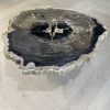Couchtisch aus versteinertem Holz