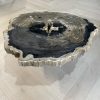 Couchtisch aus versteinertem Holz