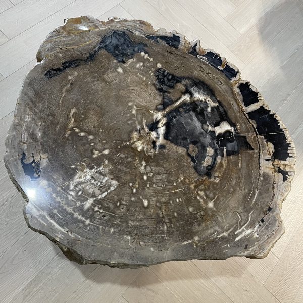 Couchtisch aus versteinertem Holz
